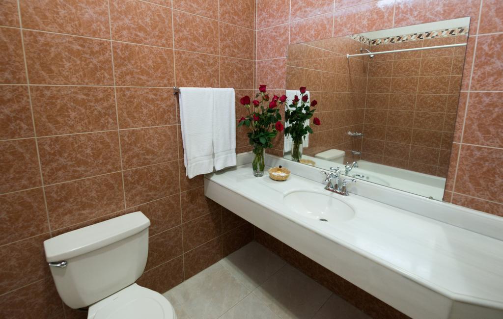 جواتيمالا Omni Auto Hotel الغرفة الصورة